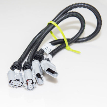 Kooks 2014-2019 Chevrolet Corvette C7 O2 Sensor Extension Harness - EX685-Z Kooks 2014-2019 Chevrolet Corvette C7 O2 Sensor Extension Harness - EX685-Z